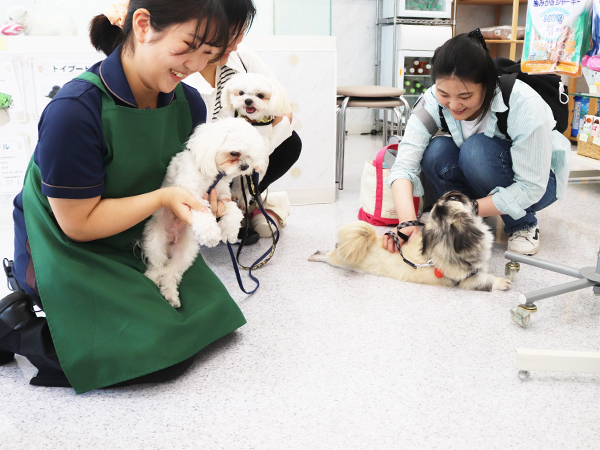 卒業生が里親犬と遊びに来てくれました☆
